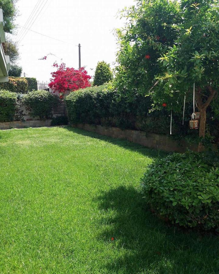 Fantastic Villa, A 5 Minute Drive From The Beach! Atina Dış mekan fotoğraf