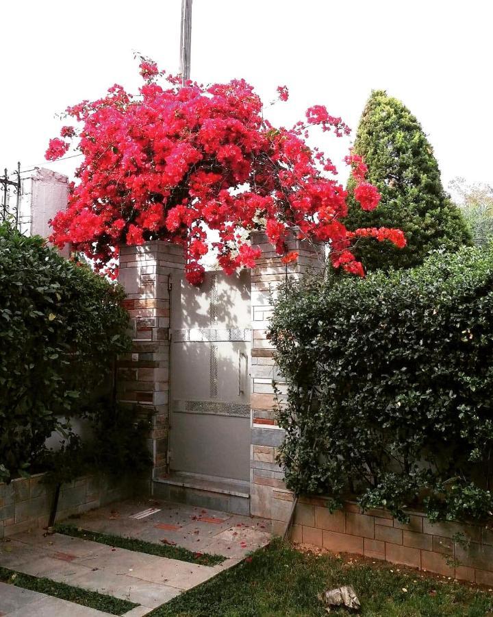 Fantastic Villa, A 5 Minute Drive From The Beach! Atina Dış mekan fotoğraf
